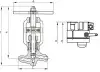 Клапан запорный 1с-12-1Э DN 10 мм PN 250 кгс/см2